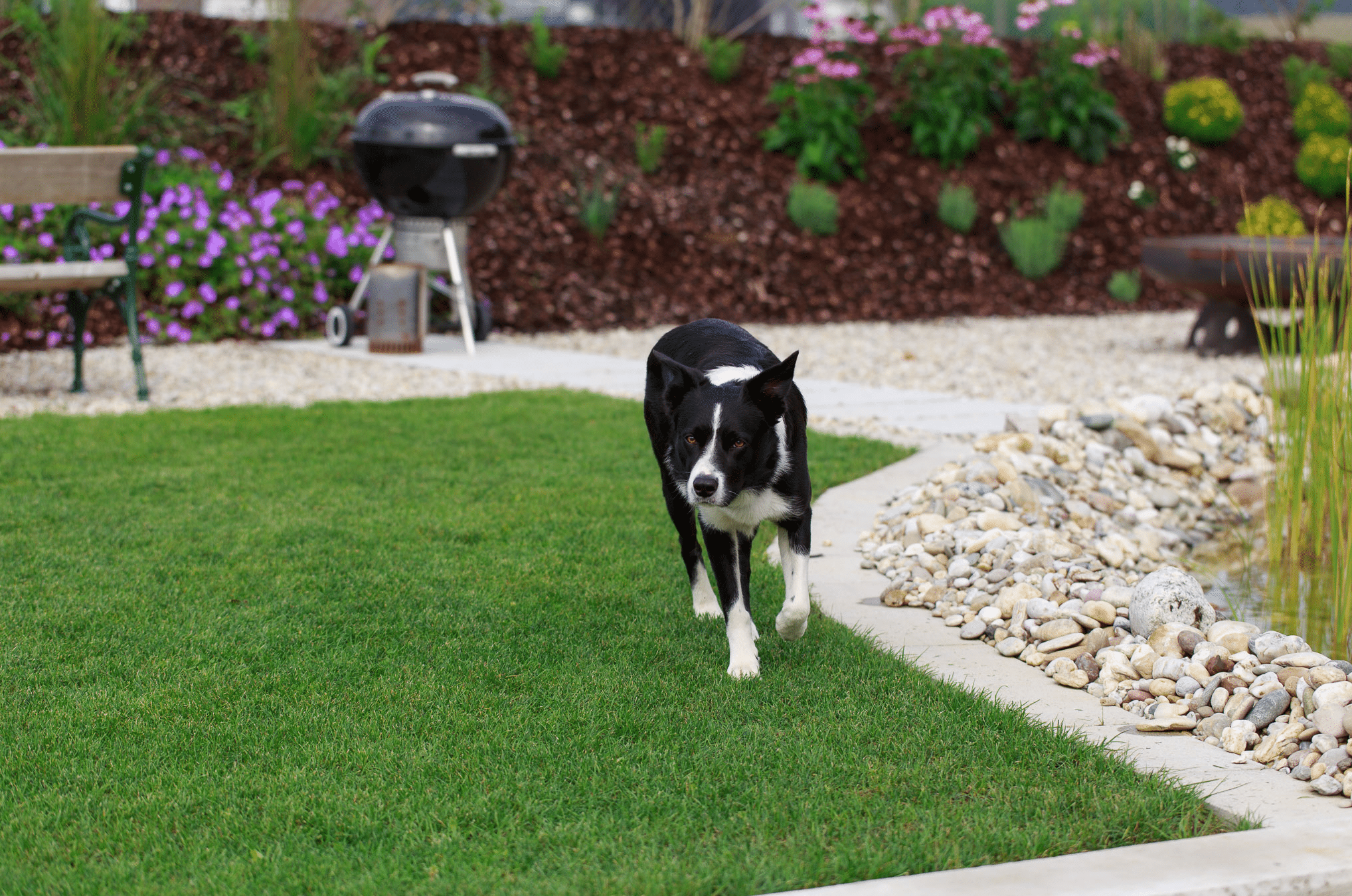 Im Garten mit Grillplatz, Hangbepflanzung und gepflastertem Weg von Hablesreiter zieht ein Hund seine Runden.