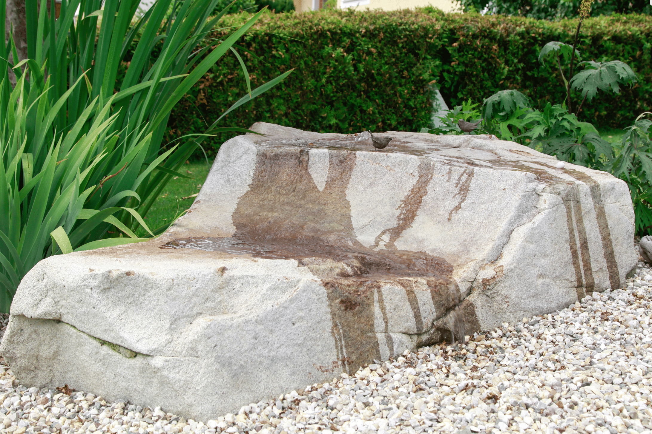 Hablesreiter zeigt einen großen Stein aus dem Vögel trinken, da oben Wasser herausläuft.