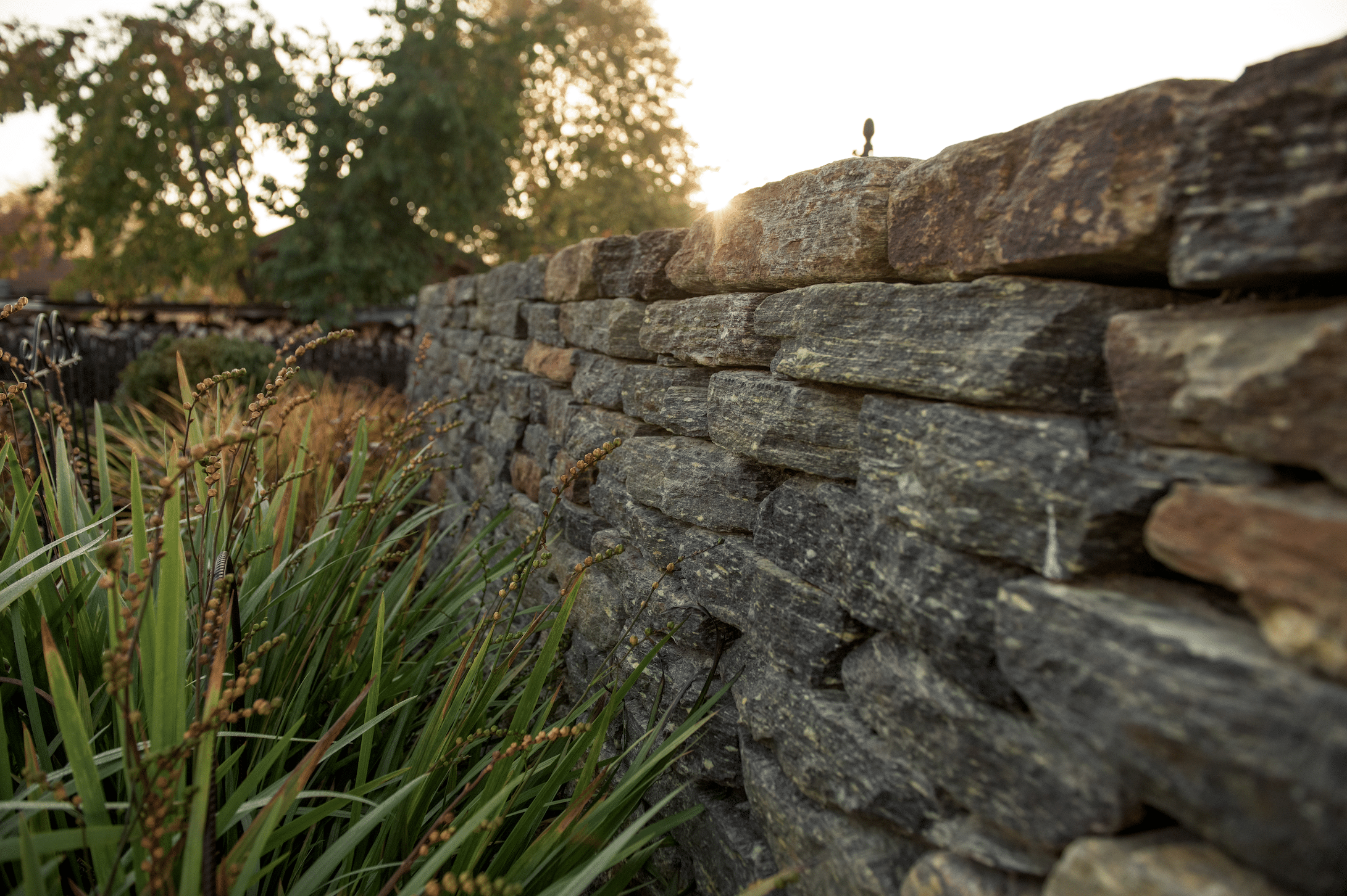 Hablesreiter zeigt hier eine Steinmauer, im Vordergrund Elefantengras, im Hintergrund der Sonnenuntergang und Bäume.