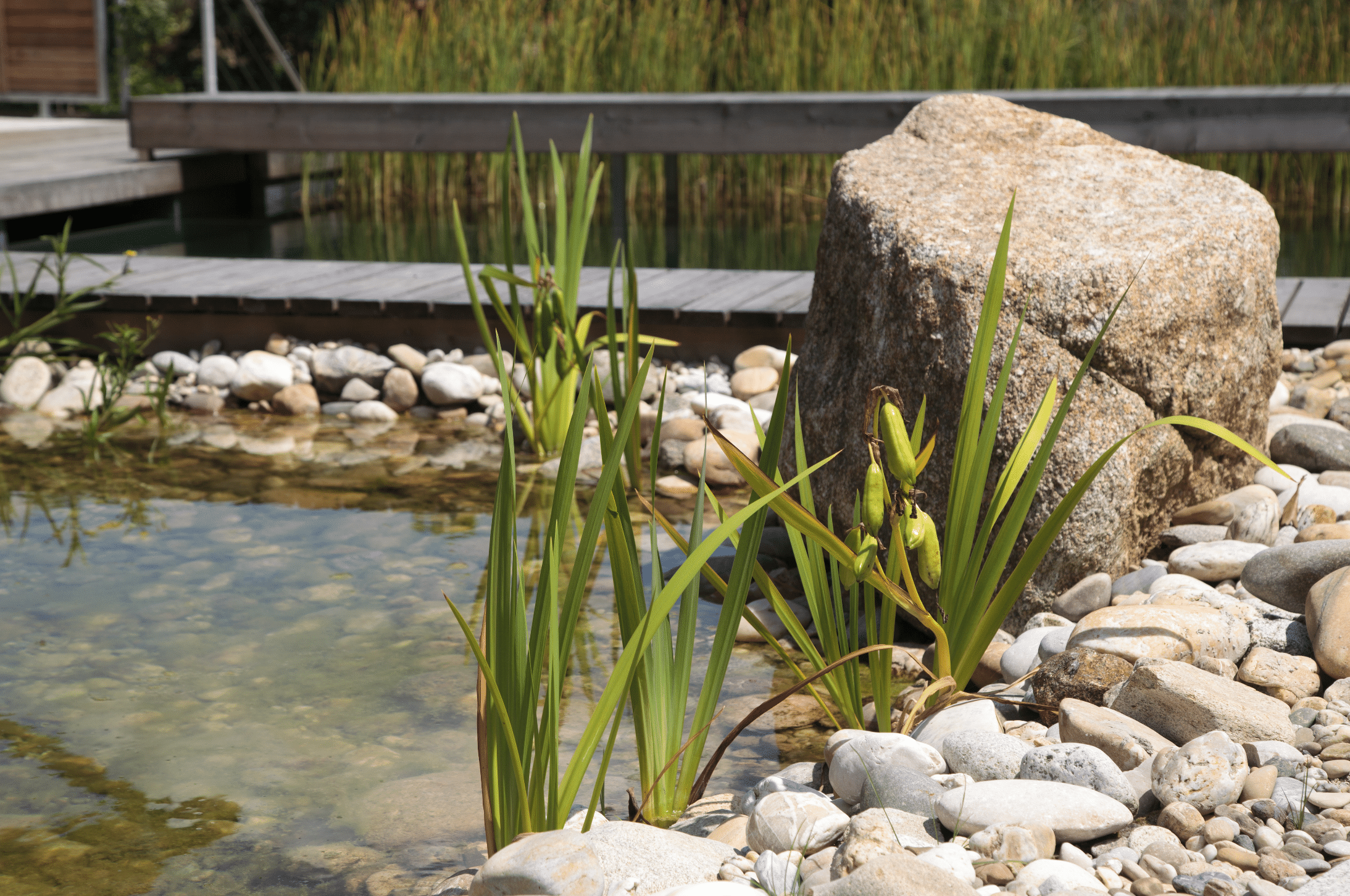 Hablesreiter zeigt einen kleinen Teich mit großem Stein am Rand und einen schmalen Holzsteg der darüber führt.