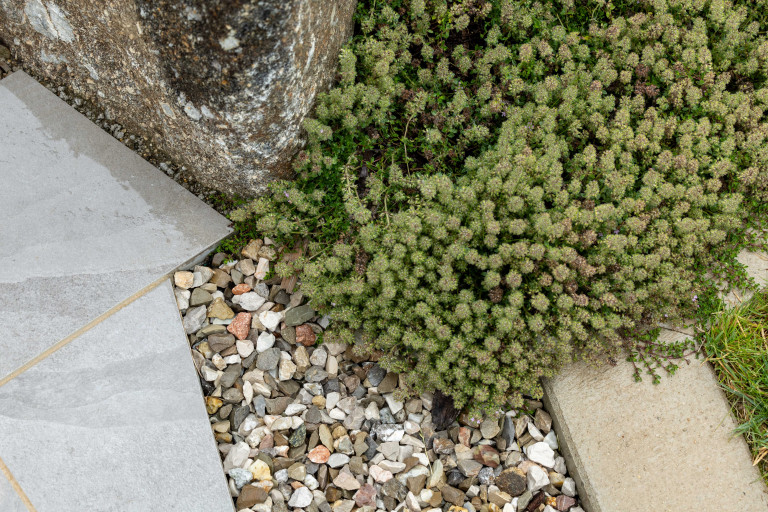 Detailaufnahme im Steingarten von Gartengestaltung Hablesreiter.