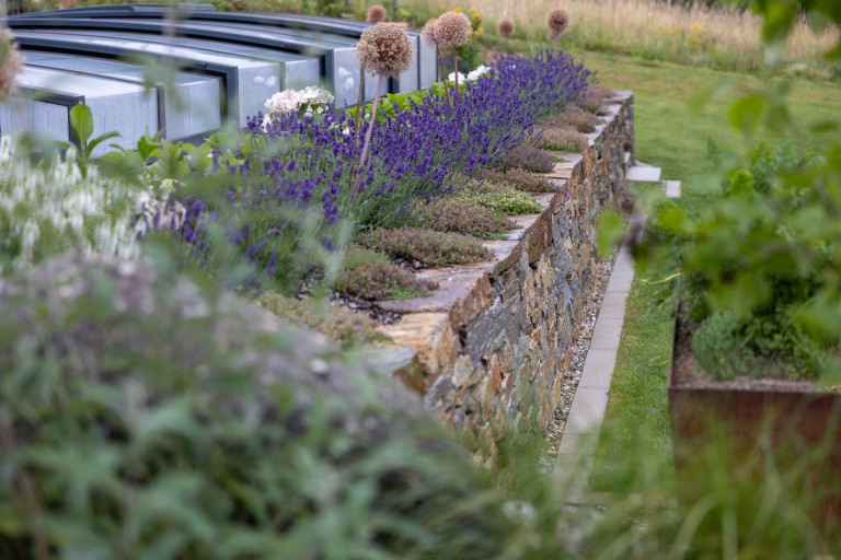 Steinmauer mit Beet aus Lavendel und Bodendeckern von Gartengestaltung Hablesreiter.