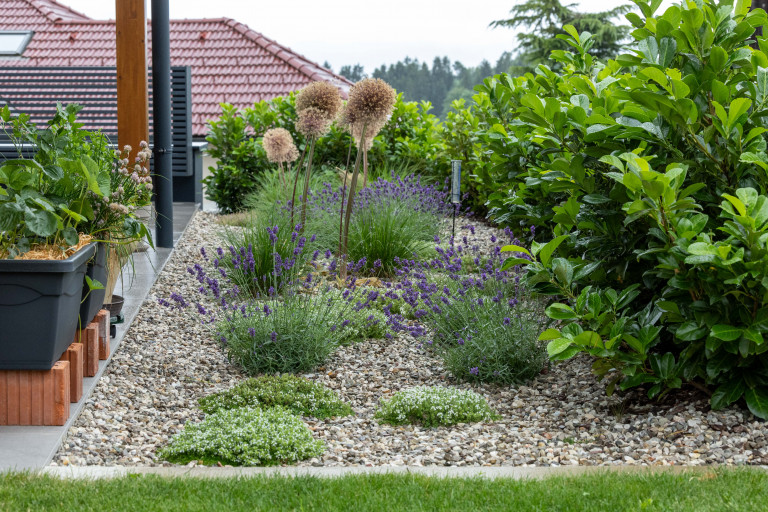 Steingarten vor Terrasse von Gartengestaltung Hablesreiter.