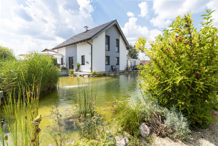 Einfamilienhaus mit Satteldach, grauen Farbakzenten, dunkelgraue Alufensterrahmen und großem vorgelagertem Biotop von Hartl Haus.