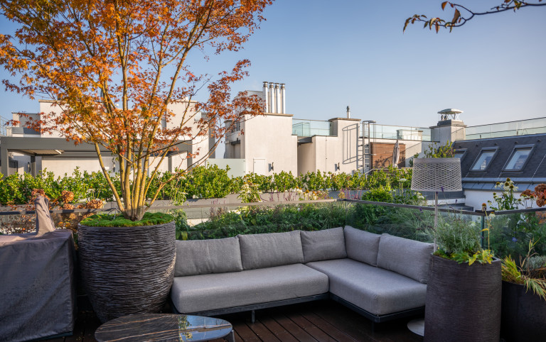 Praskac Pflanzenland Prachtgarten zeigt Dachterrasse mit L-förmiger Outdoorcouch, Pflanzentröge mit Ahornbaum und Blumenbeeten.