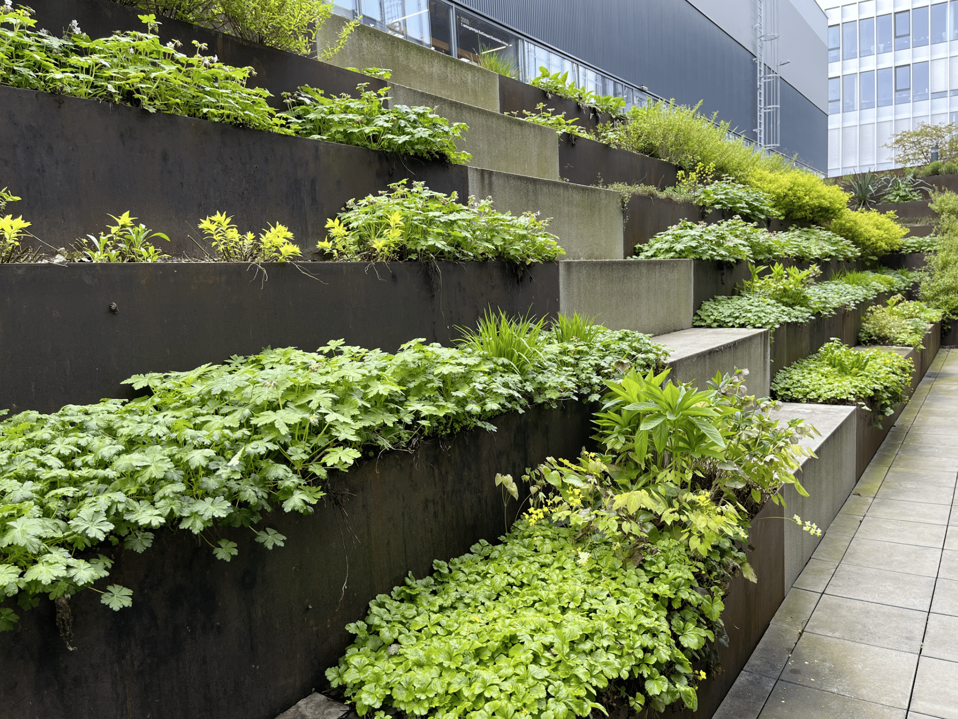 Gartenbau Schmid präsentiert die bepflanzten Treppen im Innenhof eines Firmengebäudes.