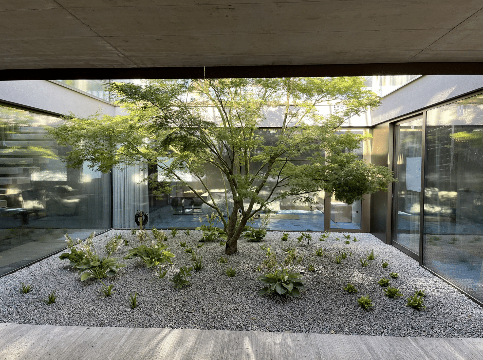 Gartenbau Schmid zeigt den Innenhof eines Gebäudes mit mehreren Bodenpflanzen und einen Baum in der Mitte.