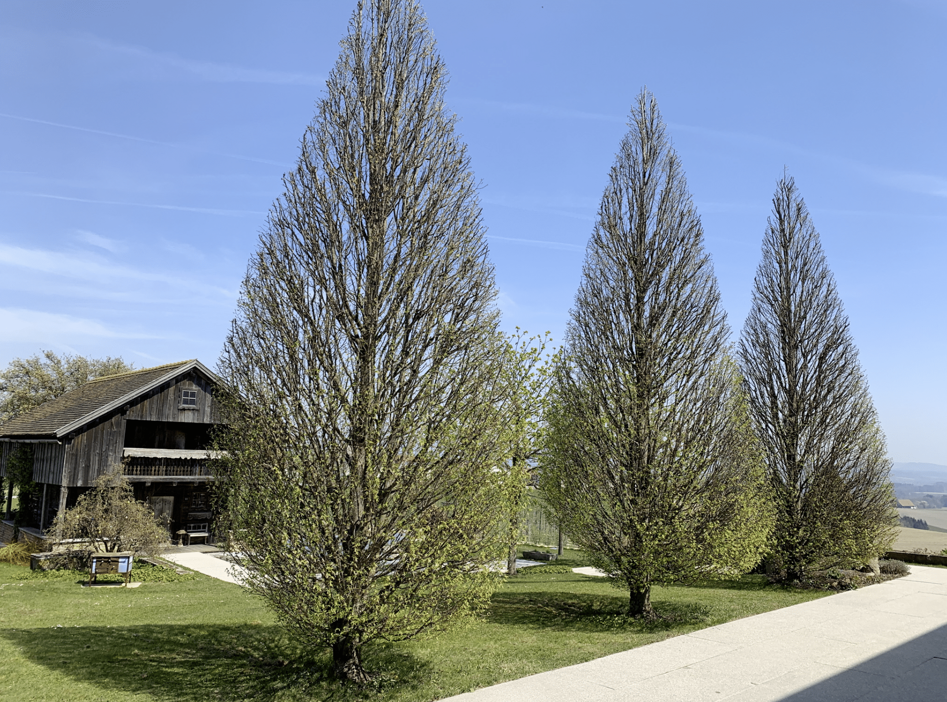 Gartenbau Schmid zeigt die in Form gebrachten Bäume vor einem Holz-Gartenhaus.