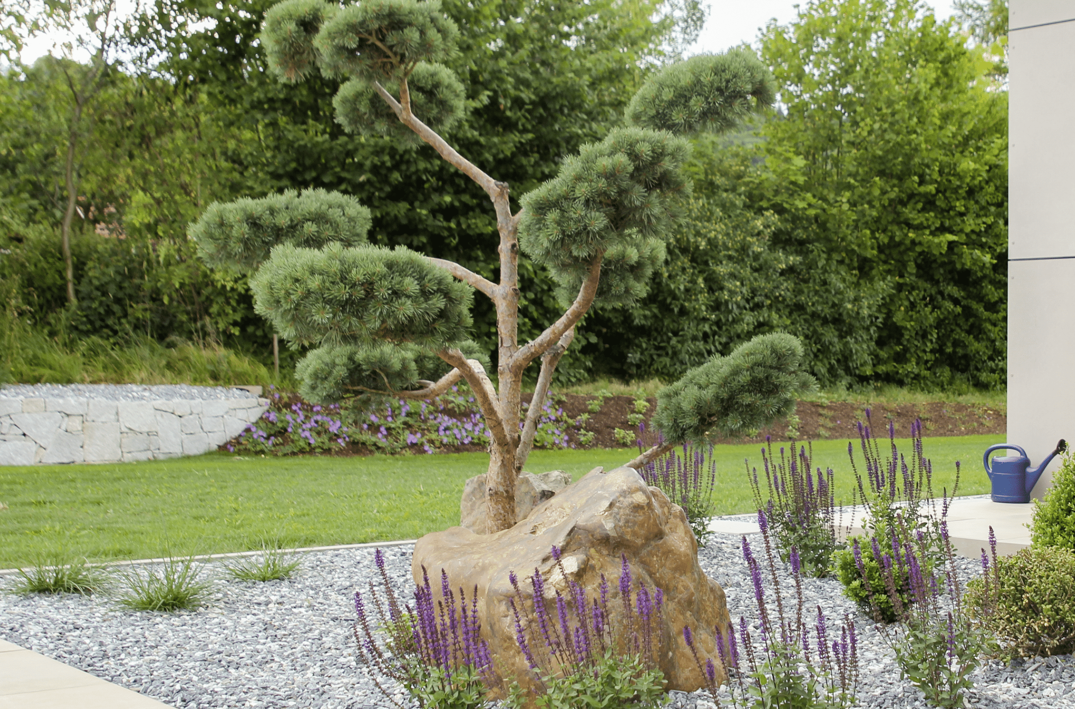 Gartenbau Schmid zeigt einen in Form gebrachten Baum inmitten eines Blumenbeets, welches mit Steinen bedeckt wurde.