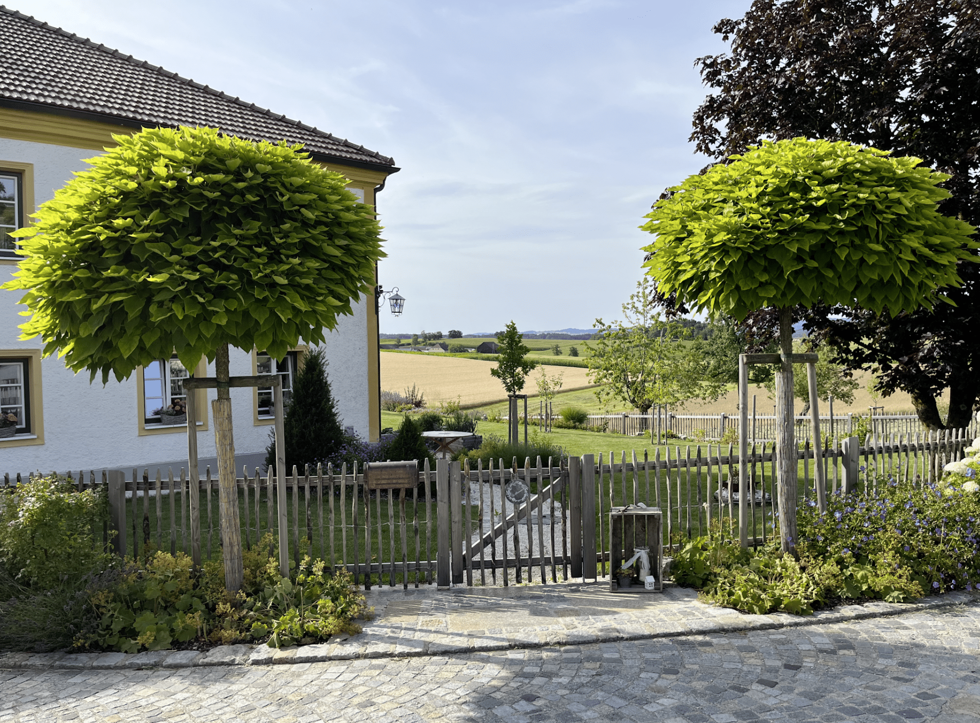 Gartenbau Schmid zeigt den Garten eines Hauses mit Zaun, mehreren Obstbäumen, Pflastersteine und gestutzte Bäume.