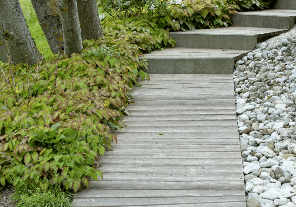 Gartenbau Schmid zeigt einen Weg aus Holzdielen mit Steinen und verschiedenen Pflanzen nebenbei.