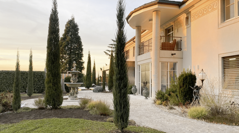 Gartenbau Schmid zeigt eine moderne Villa mit in Form gebrachten Büschen, einen Brunnen  und gepflasterten Weg zur Terrasse.