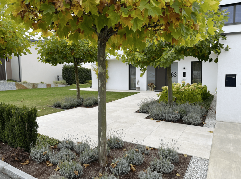 Gartenbau Schmid zeigt den Vorhof eines sehr modernen weißen Hauses mit Steinplatten, bunt bepflanzten Blumenbeeten und hohen Ahornbäumen.