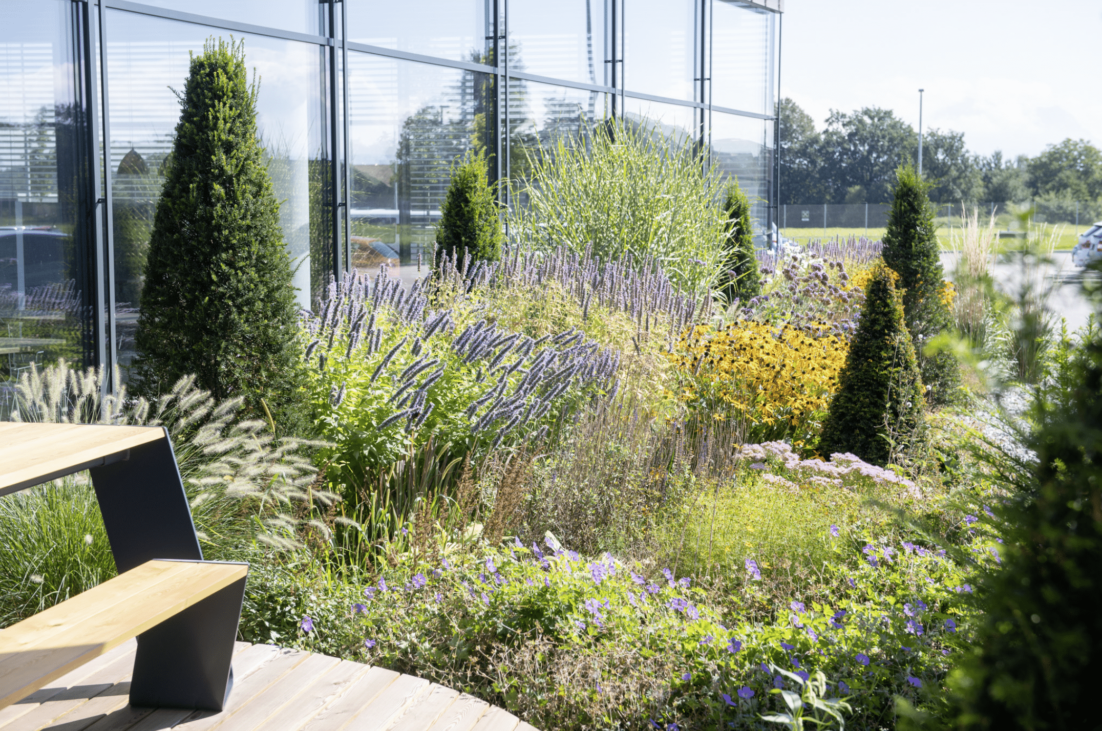 Gartenbau Schmid zeigt die Terrasse eines Firmengebäudes, welche mit verschiedenen Büschen und Sträuchern bepflanzt wurde.