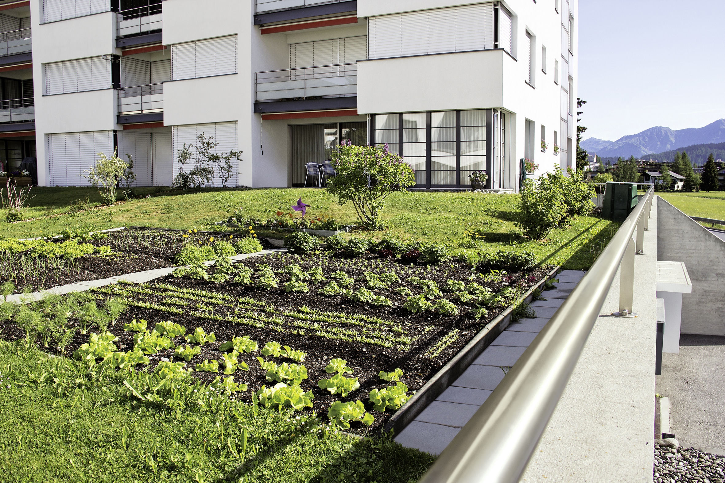 Dachterrasse mit Extensivbegrünung von ZinCo und der Möglichkeit zu urban farming.