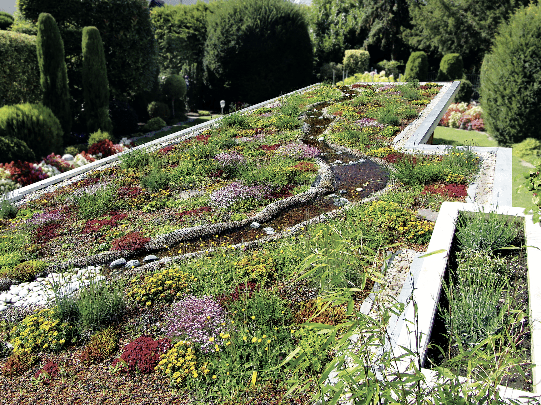 ZinCo zeigt eine Dachbegrünung auf einem Flachdach mit verschiedenen Pflanzen und integriertem Bachlauf.